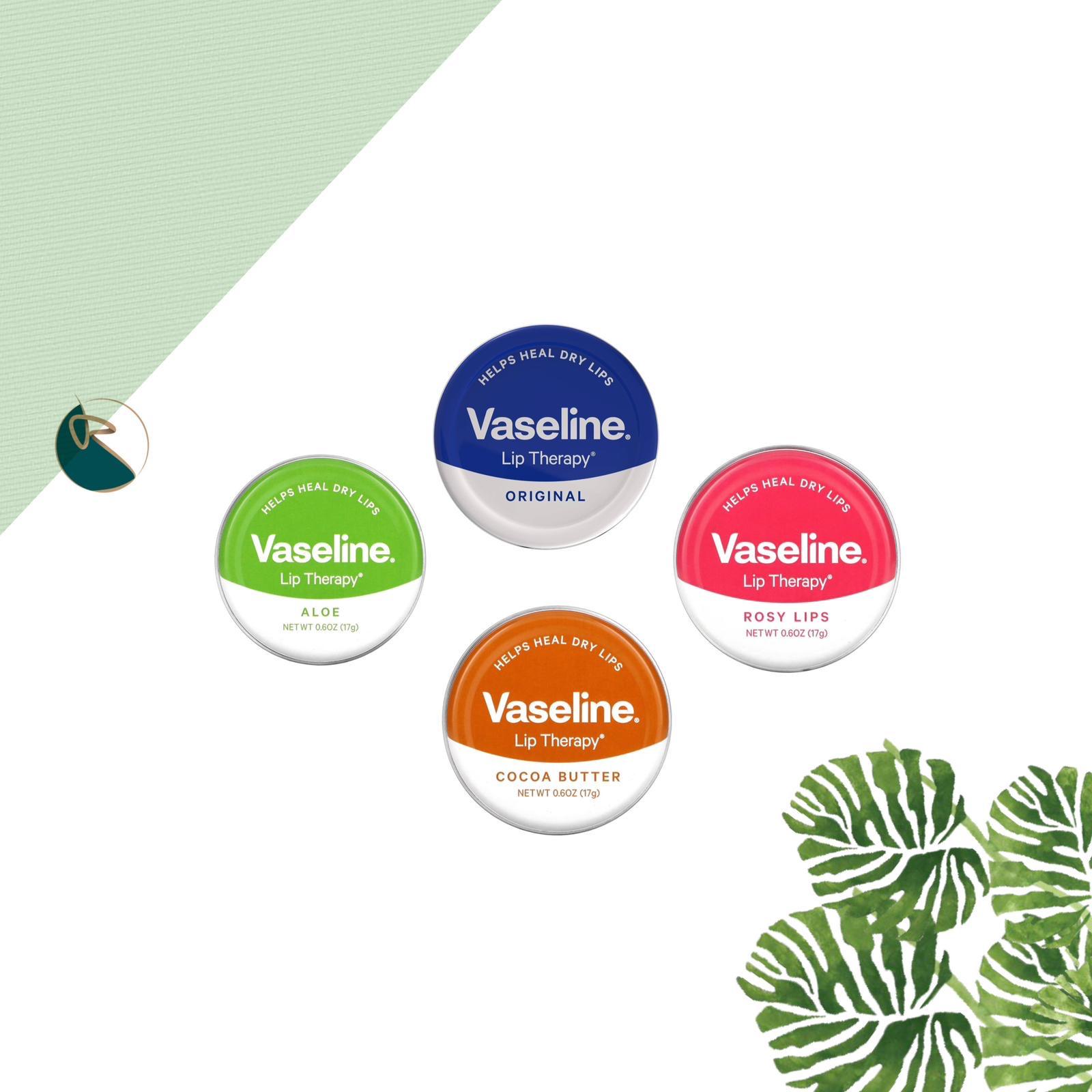 Vaseline Lip Balm And Treatment Set